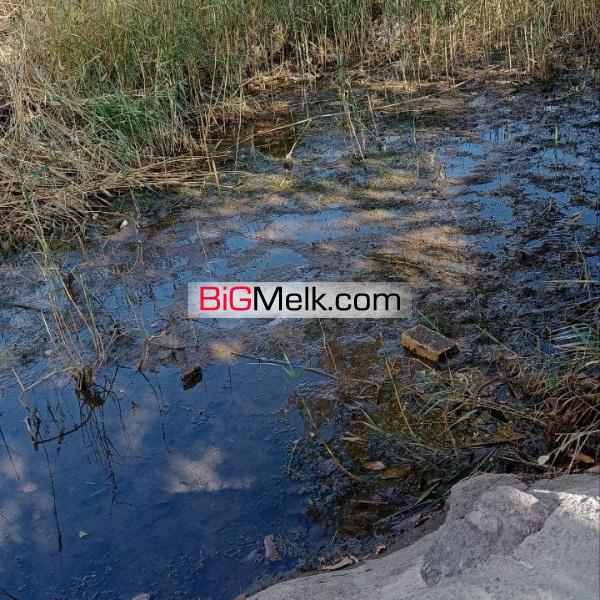 باغ ۱۰۰۰ متری شمال قزوین