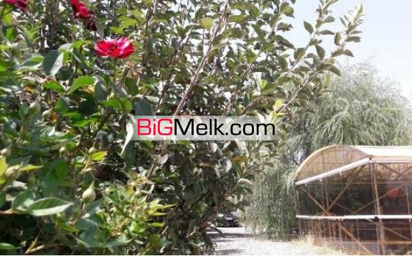 فروش اداری و تجاری / 2124 متر اولین مجموعه روباز اب داغ خاور میانه | خراسان رضوی، مشهد