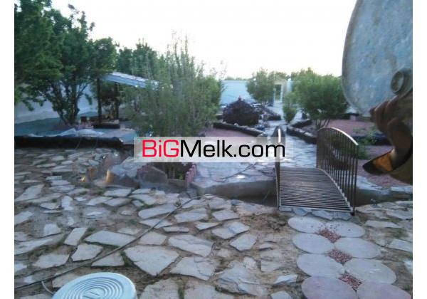 اکازیون باغ  لوکس1000متر شیراز