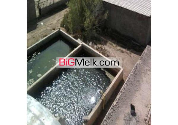 گاوداری100 راسی شیری 3 هکتار