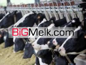 فروش دامداری یافروش گاوداری در اردبیل