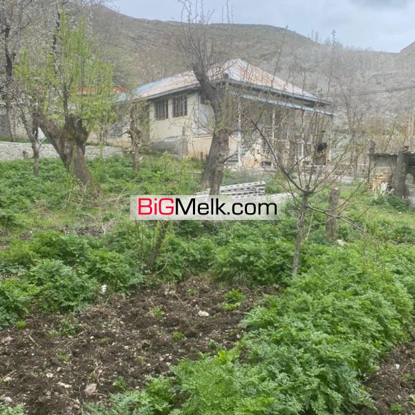 باغ ۹۱۴ متری جاده چالوس روستای نشترود فوری فروشی #