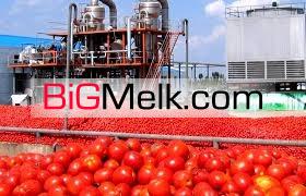 کارخانه ترشیجات شوریجات رب گوجه فرنگی