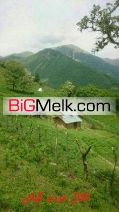 ملک استثنایی.باچشم انداز عالی | گیلان، چوبر