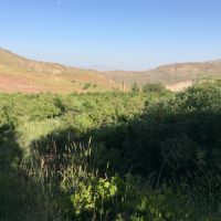 20 هکتار مزرعه با شرایط استثنایی