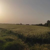 فروش یازده هکتار زمین آبی و مجتمع گاوداری و ویلا در کرمانشاه