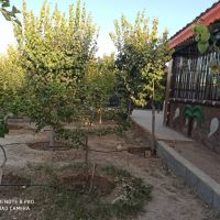 فروش باغ ویلا