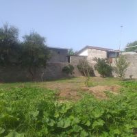 فروش زمین فریدونکنار به متراژ ۴۱۲ متر