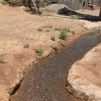 باغ پسته چهار دیواری 2 هزار متری در ملارد
