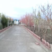 فروش زمین تجاری مسکونی کشاورزی