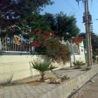 فروش کارخانه در گوتوند خوزستان