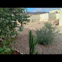 300 متر مسکونی سند تک برگ