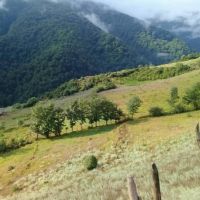 زمین کشاورزی در منطقه ییلاقی شهرستان سوادکوه(مازندران)