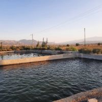 ۴۵ هکتار زمین کشاورزی مکانیزه محلات