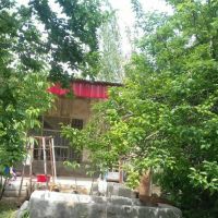 فروش سه هکتار باغ و زمین کشاورزی در چناران