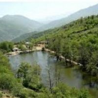 1هکتار زمین جهت پرورش ماهی،گاوداری،مرغداری تنکابن | تنکابن، نمکدره