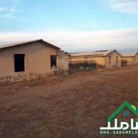 خرید و فروش مرغداری در ملارد