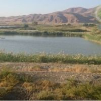 فروش پرورش ماهی گرم ابی لرستان 11 هکتار