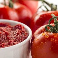 2هکتار کارخانه انواع رب گوجه ظرفیت روزانه500تن گوجه فروشی