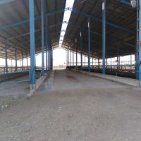 فروش گاوداری صنعتی شیری شیراز