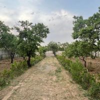 زمین باغی ۱۰۰۰ متری دنج و آرام