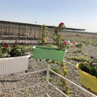 زمین کشاورزی برای سرمایه گذاری