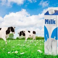 گاوداری‌۳۰هکتاری‌۲۰۰۰راسی شیری برای فروش
