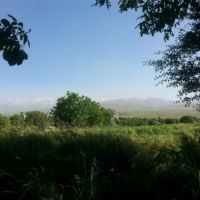 کارخانه خوراک دام و طیور+باغ+زمین زراعی