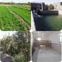 2هکتار زمین کشاورزی با ساخت