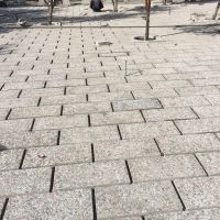 موزاییک کف حیاط و محوطه باغ و ویلا