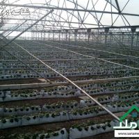 فروش گلخانه صنعتی در صفادشت