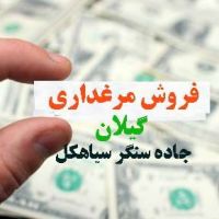 فروش مرغداری در جاده سنگر سیاهکل
