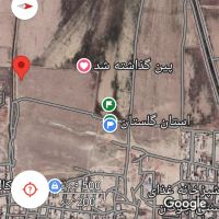 زمین کشاورزی دیم