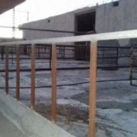 فروش فوری گاوداری در اطراف کرج هشتگرد امکانات کامل