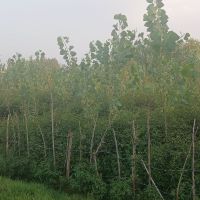 فروش زمین به متراژ ۲۶۹ متر