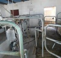 گاوداری صنعتی با سند و دارای دو پروانه چاه آب در اصفهان