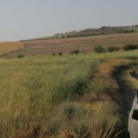 زمین به متراژ6000هزار متر مربع اقساطی تک برگ سند دارای مجوز