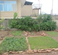فروش بیواسطه 2 مزرعه پرورش شترمرغ سنددار جمعا 8 هکتار