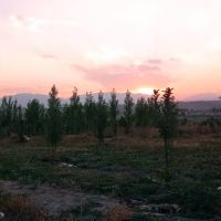۲۴۶۰ متر باغ در منطقه خوش آب و هوای فیروزکوه