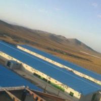 فروش مرغداری گوشتی مدرن