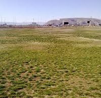 فروش زمین کشاورزی در گرمسار