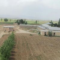 فروش شرکت کشت و صنعت سپیدقارچ کیمیا همدان ملایر