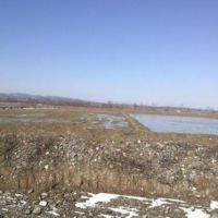 اجاره شالیزار اجاره ای 3 هکتاری در سیاهکل گیلان