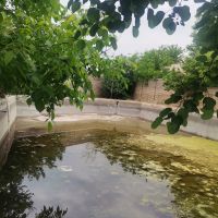 زمین 600 متر در مشهد