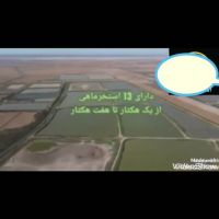 فروش پرورش ماهی -زمین کشاورزی هکتاری