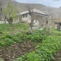 باغ ۹۱۴ متری جاده چالوس روستای نشترود فوری فروشی #