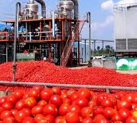 کارخانه ترشیجات شوریجات رب گوجه فرنگی