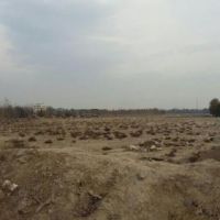 13000متر زمین کشاورزی دارای سند