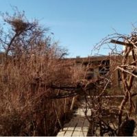 اجاره کارگاه و یا انباری وسیع