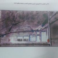 دامپروری شیری و گوشتی مجتمع کشت و صنعت